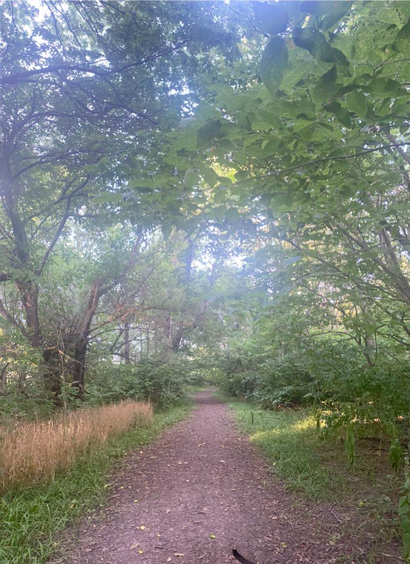 walking near me in Tierra Park in winter