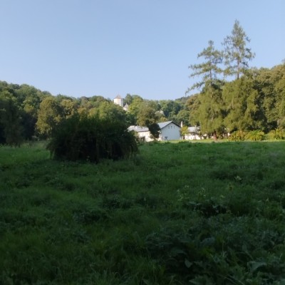 Kroki z całej Polski 🇵🇱 Bożena post image