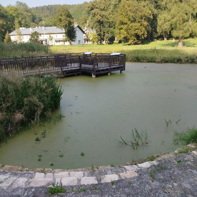 Kroki z całej Polski 🇵🇱 Bożena post image