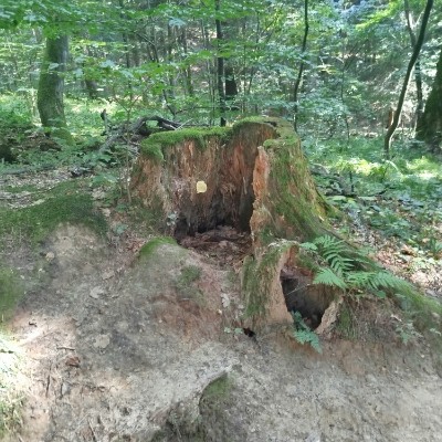 Kroki z całej Polski 🇵🇱 Bożena post image