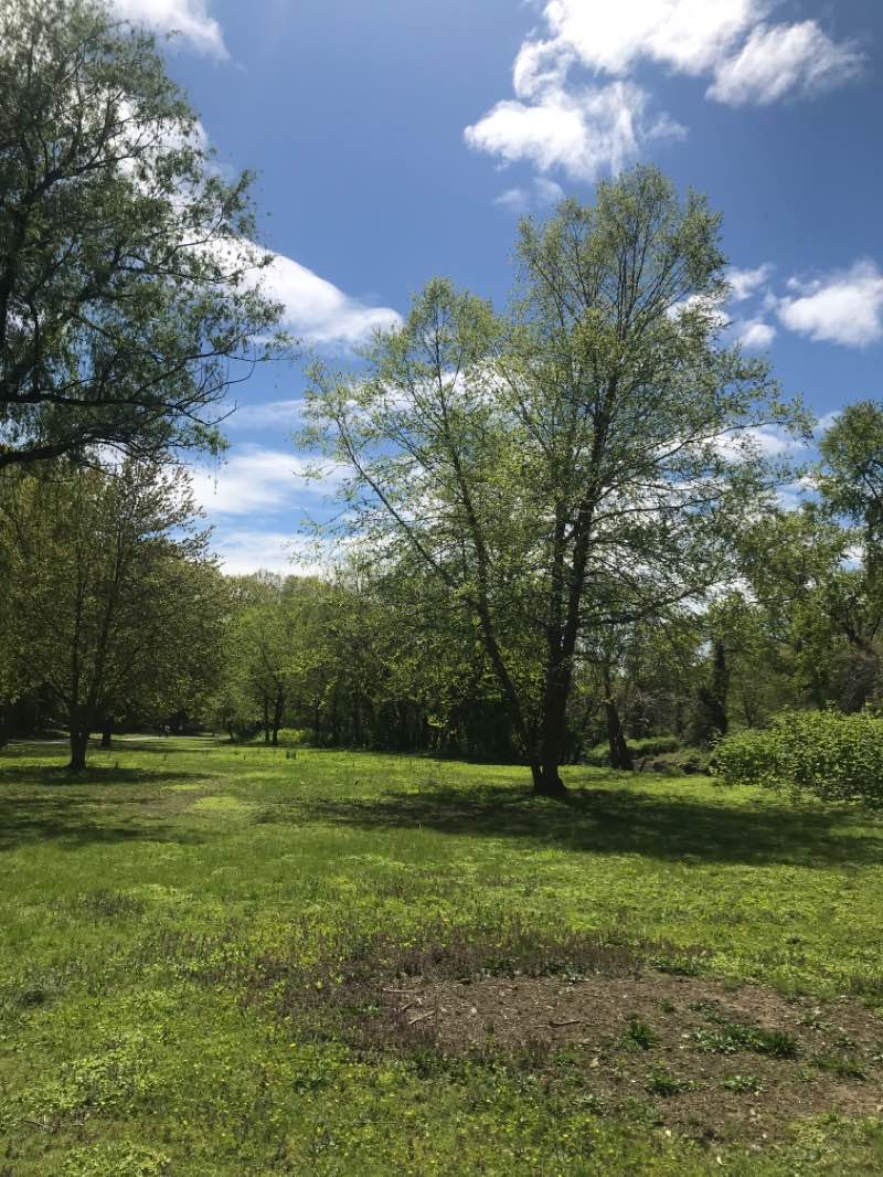 walking near me in Parkway Oval Park in winter