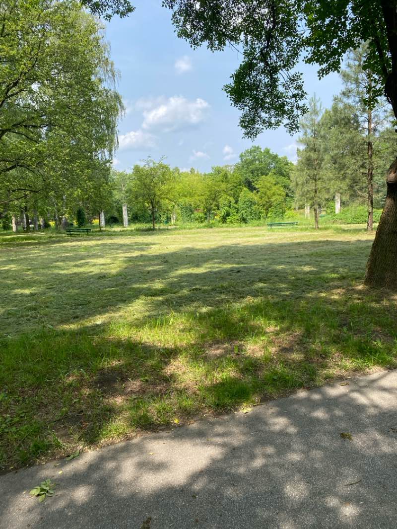 walking near me in Park Piłsudskiego in summer