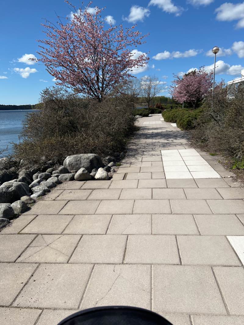 walking near me in Maininkipuisto in winter