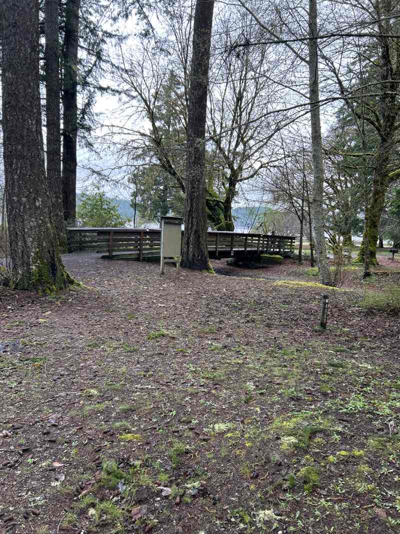 walking near me in Twanoh State Park in spring