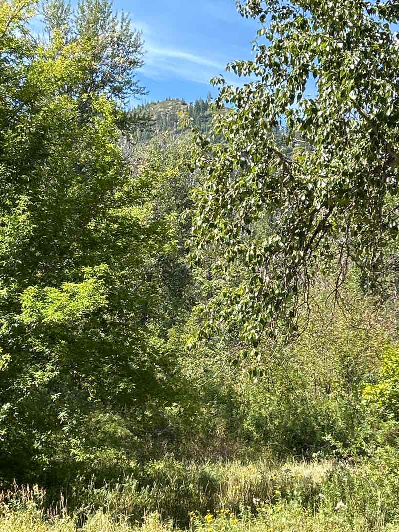 walking near me in Waterfront Park in autumn
