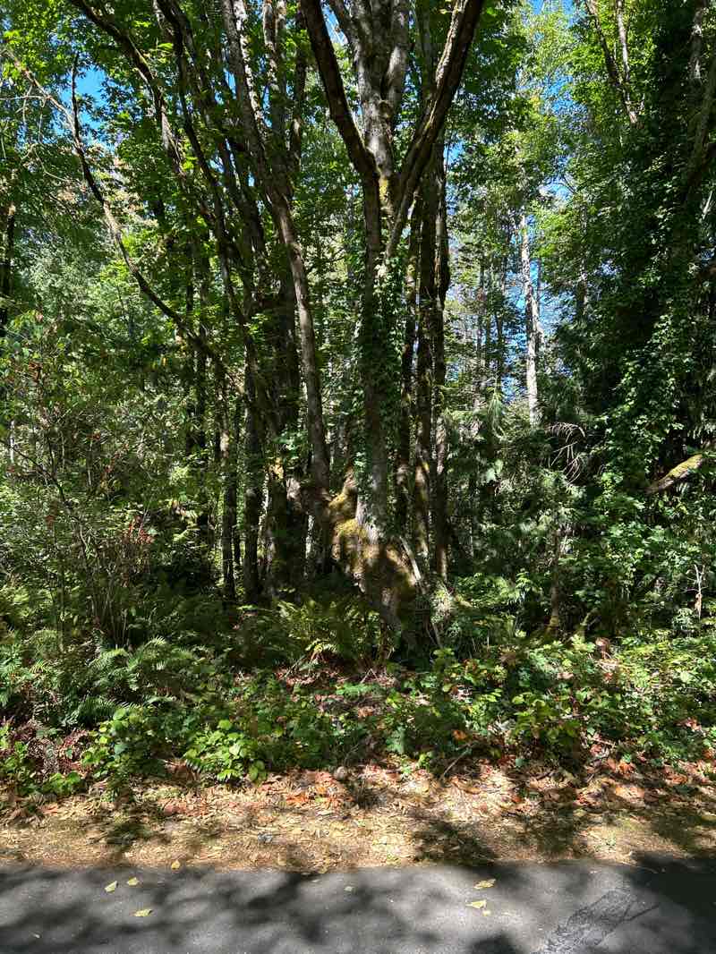 walking near me in Manchester State Park in autumn