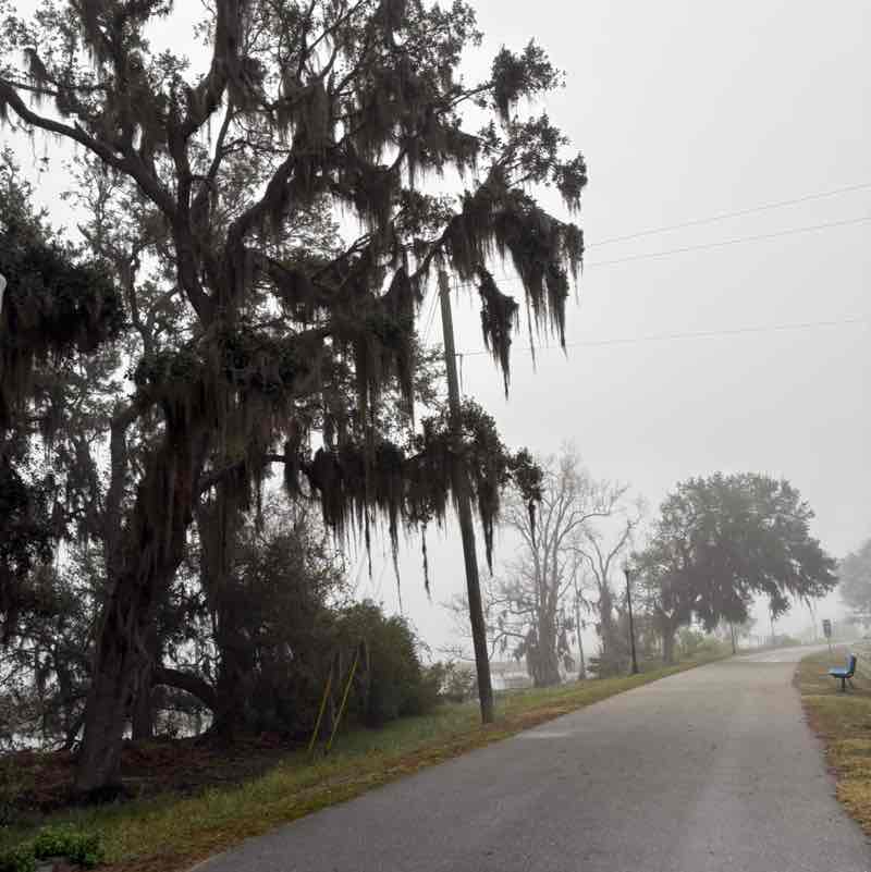 gonzalez-mariela post 2