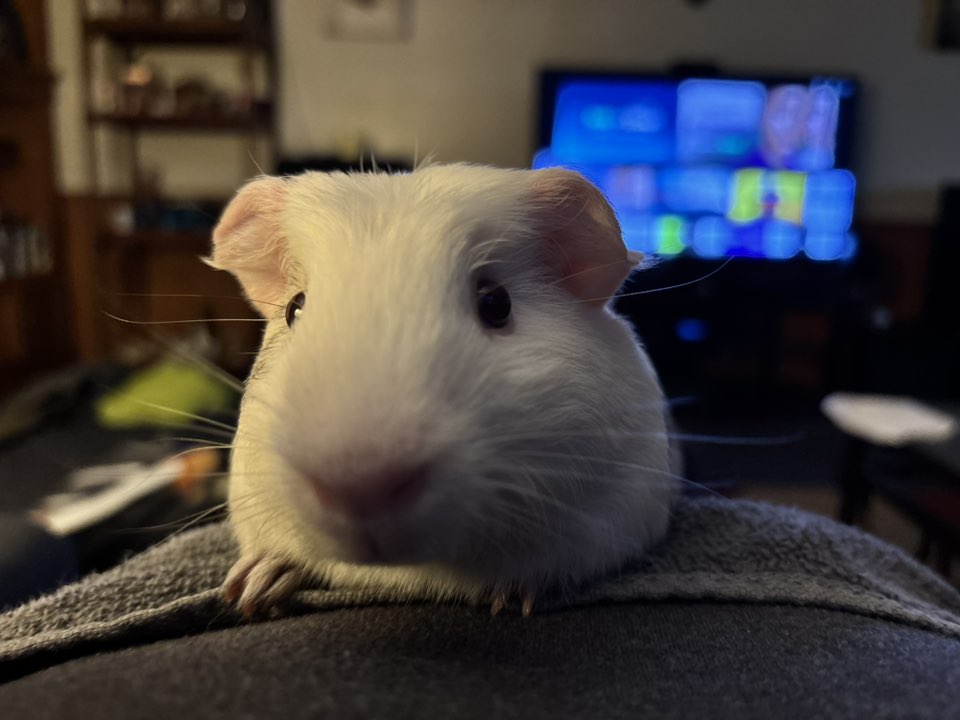 Timothy