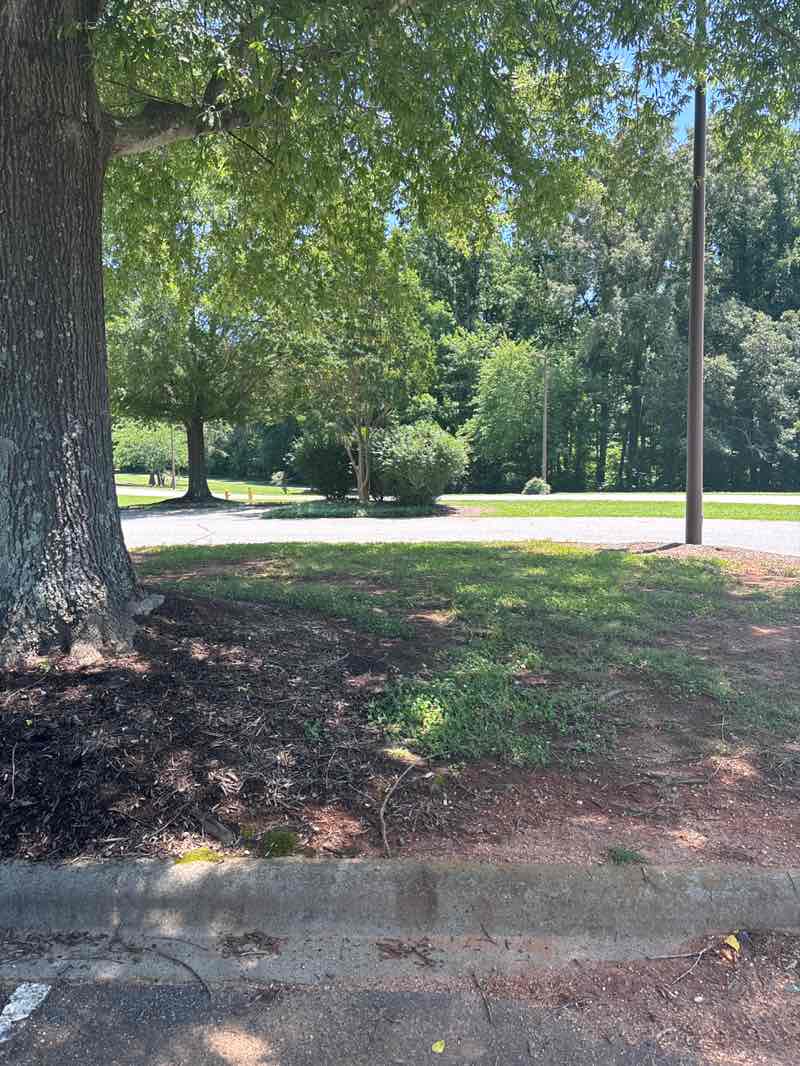walking near me in Triad Park in summer