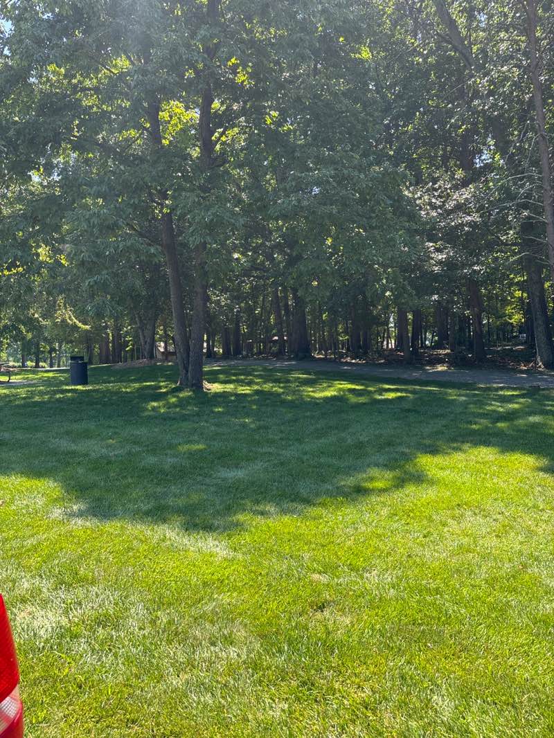 walking near me in Oka T. Hester Park in summer