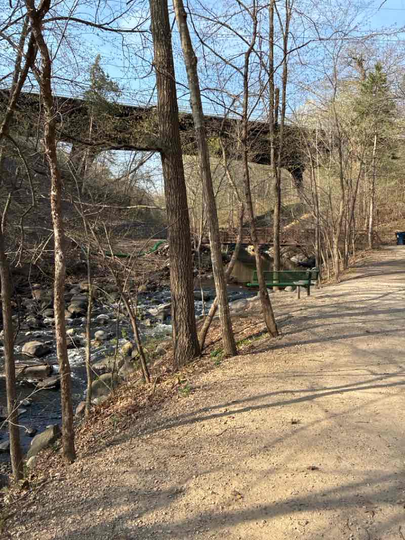 walking near me in Central Park in spring