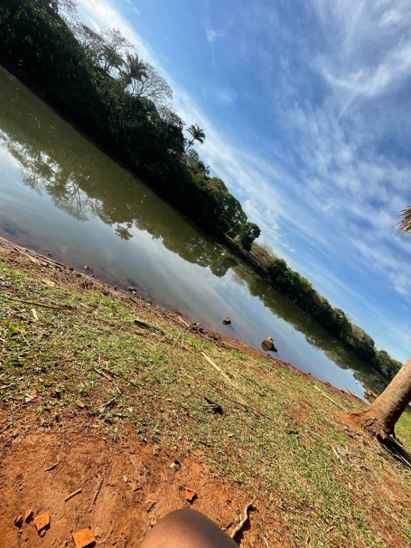 walking near me in parque repressa marcelo pedroni in spring
