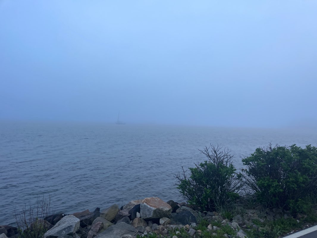 walking near me in Children's Grove in winter