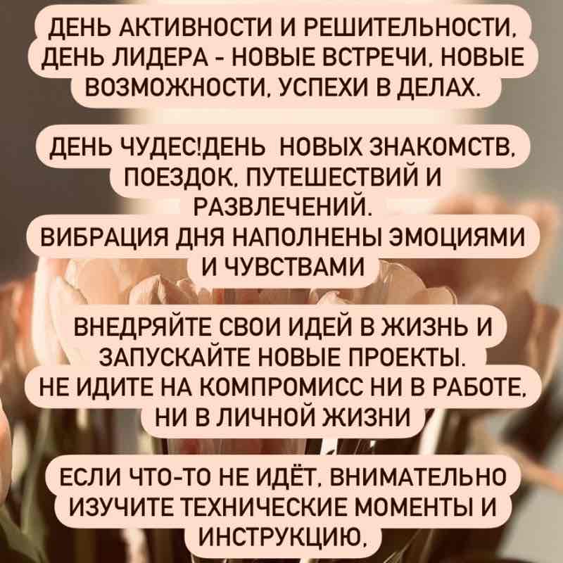 Светлана post 2