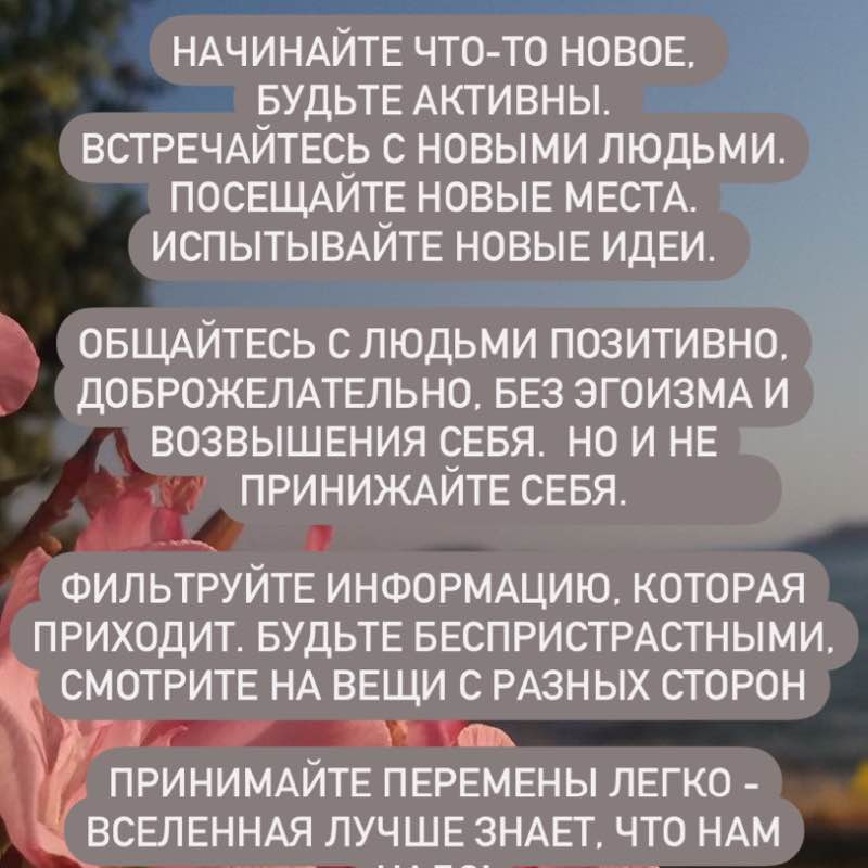 Светлана post 2