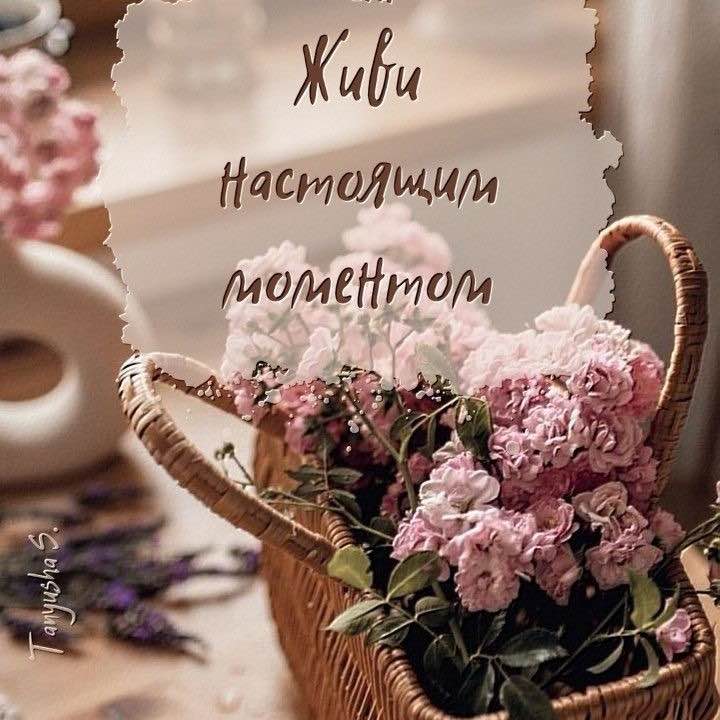 Светлана post 1