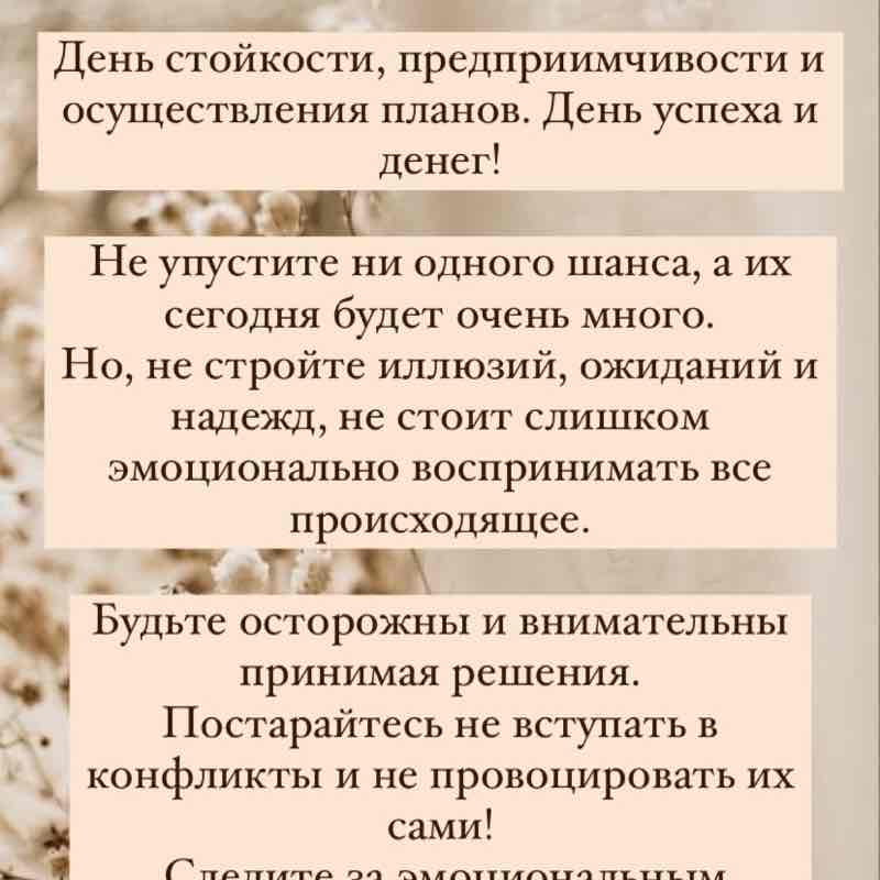 Светлана post 1