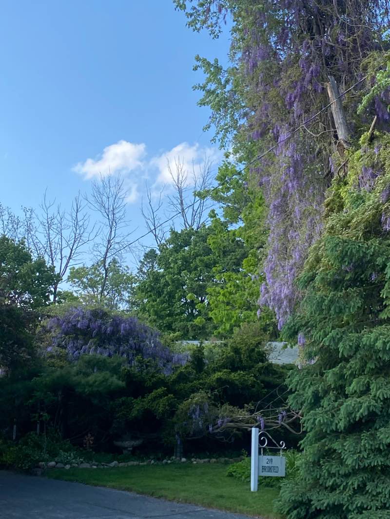 walking near me in Roseland Park Country Club in winter