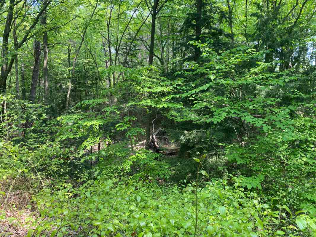 walking near me in Hemlock Crossing in winter