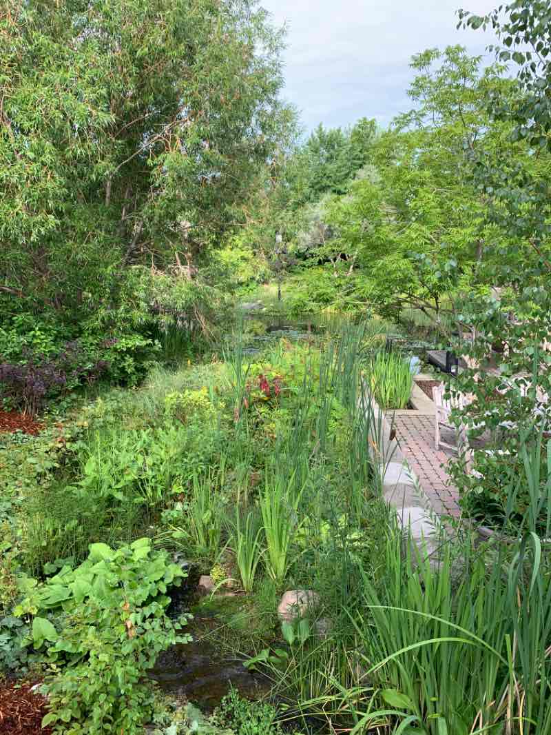 walking near me in Cosmopolitan Park in winter