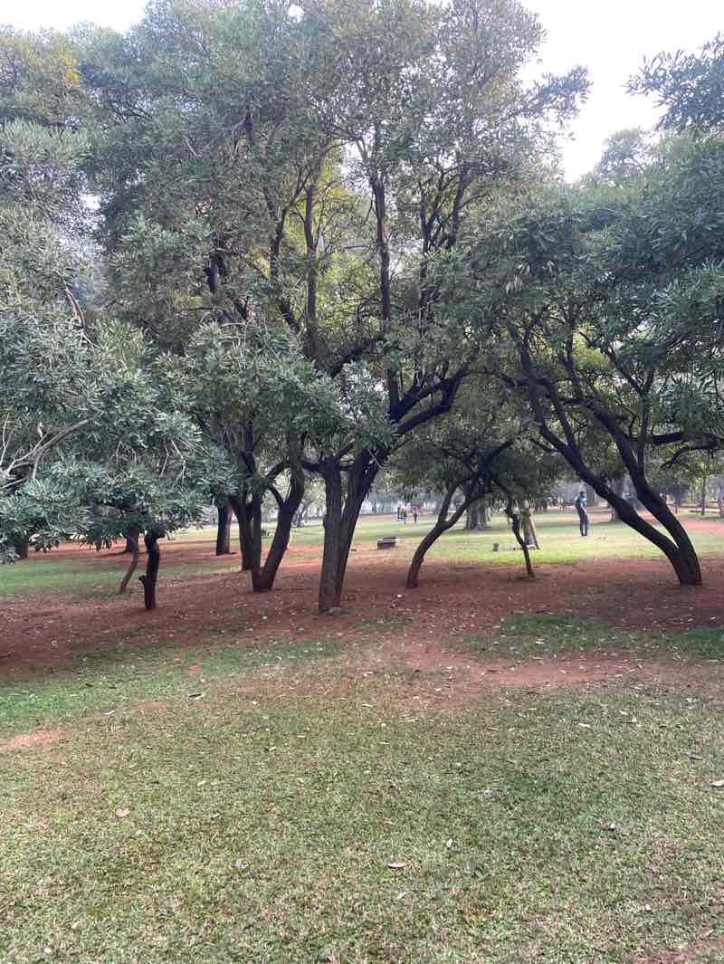 walking near me in Indira Park in winter
