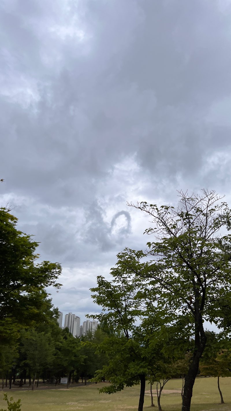 walking near me in 은구비 공원 in winter
