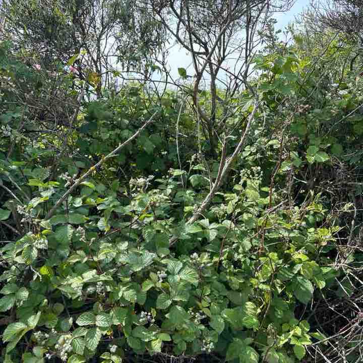 carlyannehunter post 1