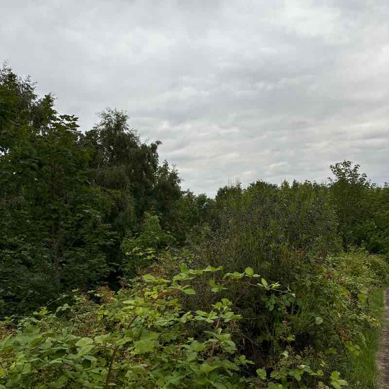 carlyannehunter post 1