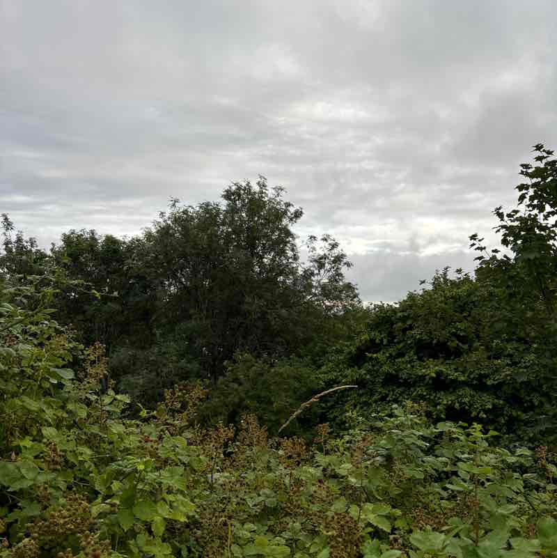 carlyannehunter post 1