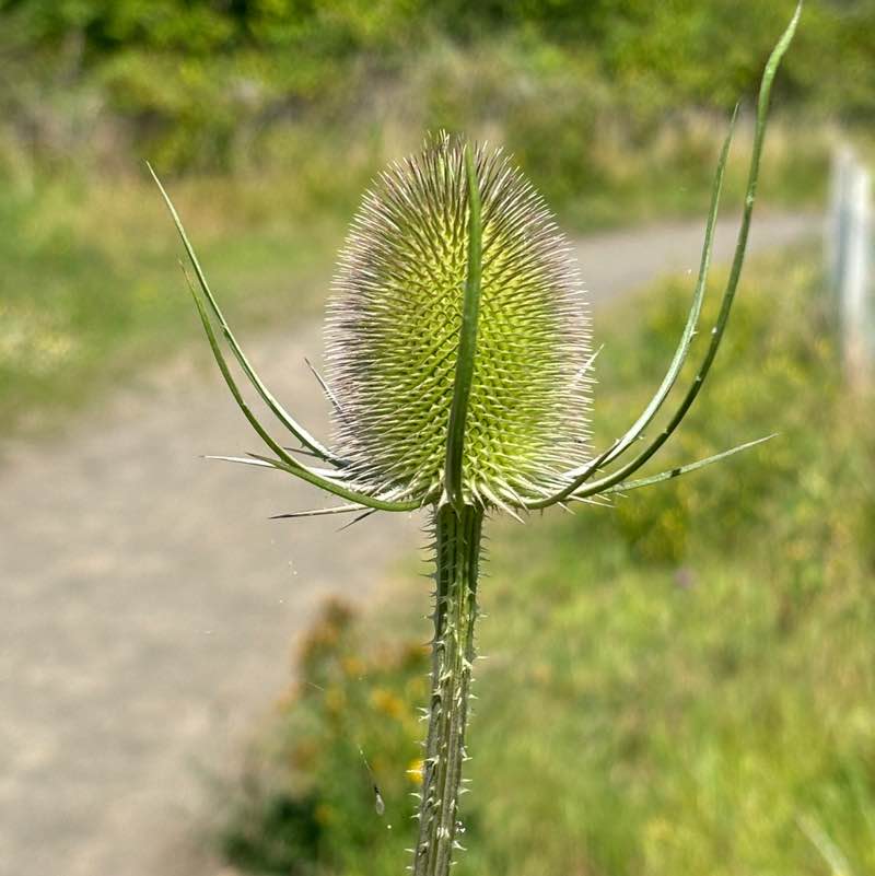 carlyannehunter post 1