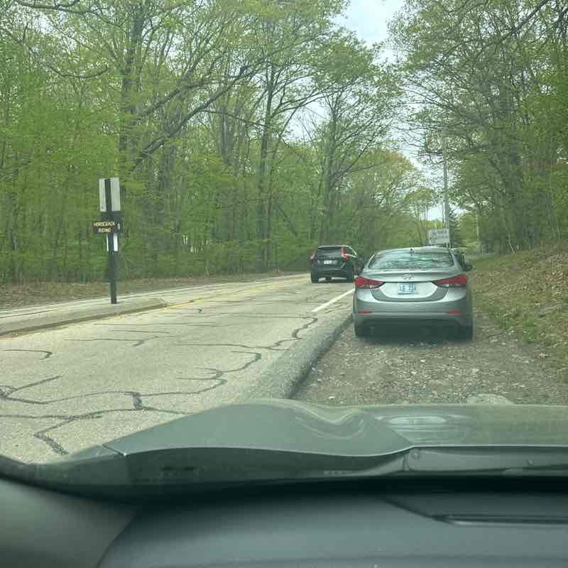 Yolanda Serrano post 1