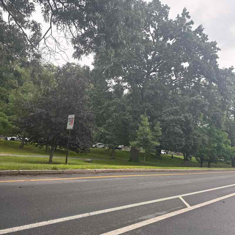 Yolanda Serrano post 1