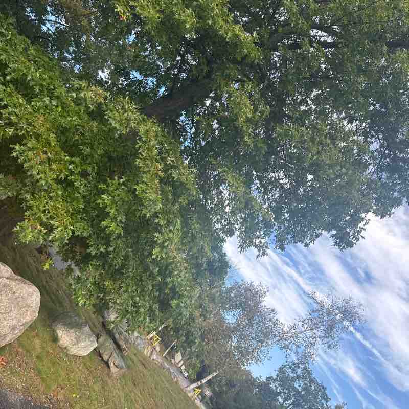 Yolanda Serrano post 1