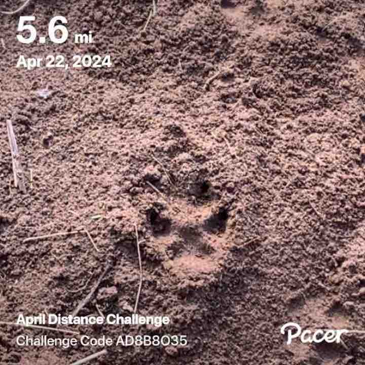 natasha-lorraine-dickson post 1