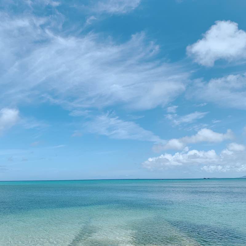 Kate👩🏻🇹🇼 post 3