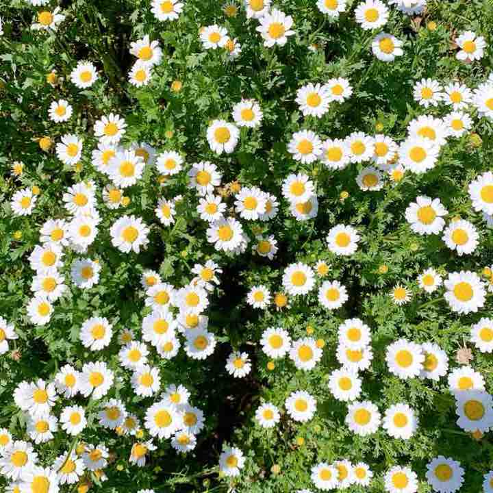 Kate👩🏻🇹🇼 post 3