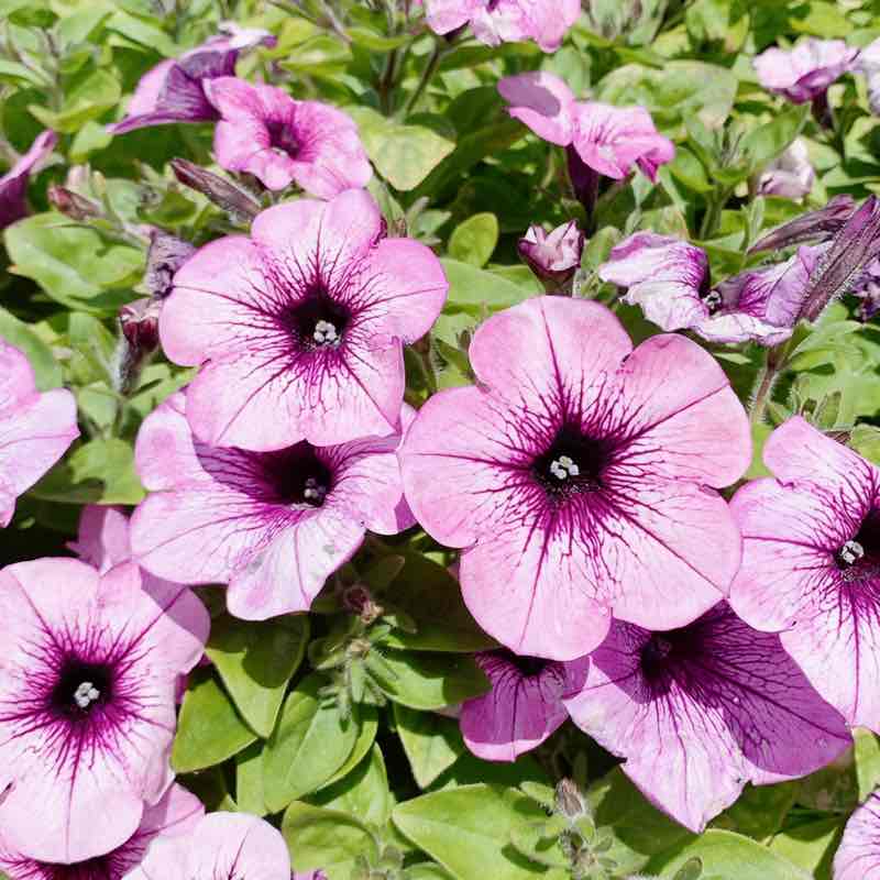 Kate👩🏻🇹🇼 post 2