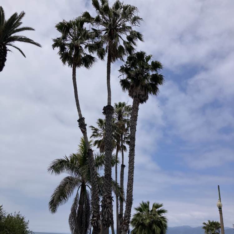 Joanne Stover EAS post 2