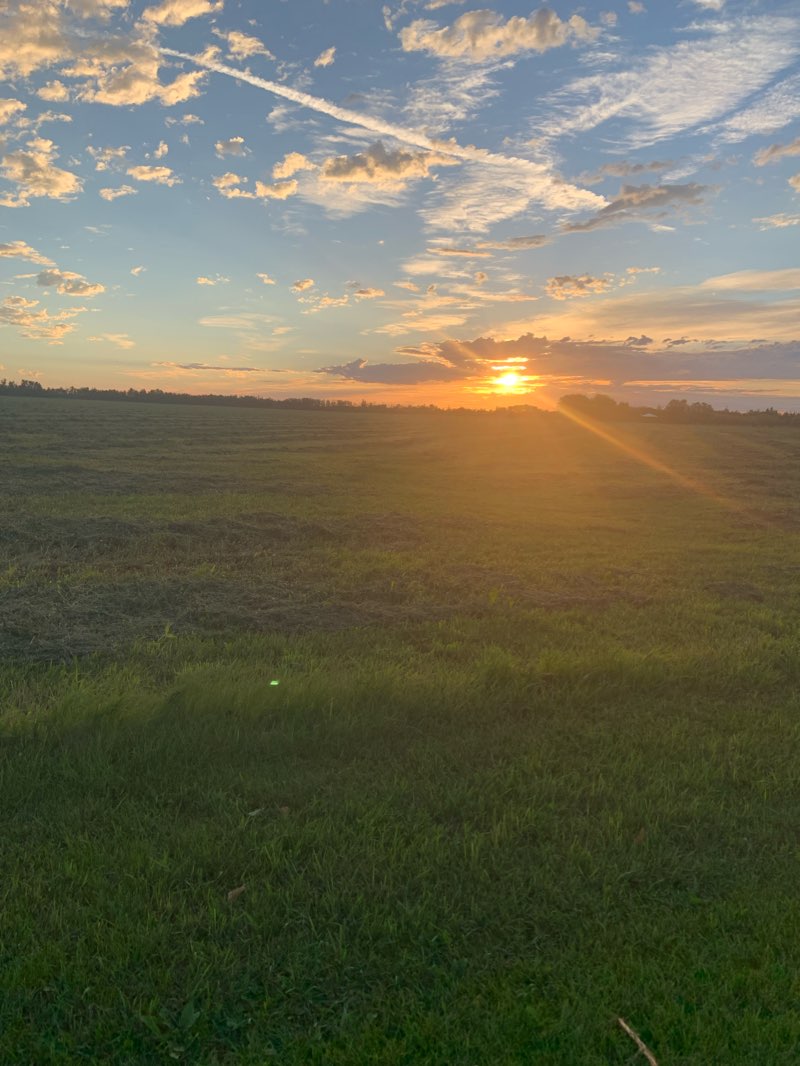 walking near me in Whisselville Pond in winter