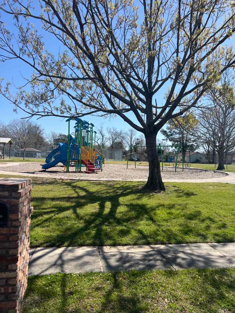 walking near me in Mills Ave Park in spring