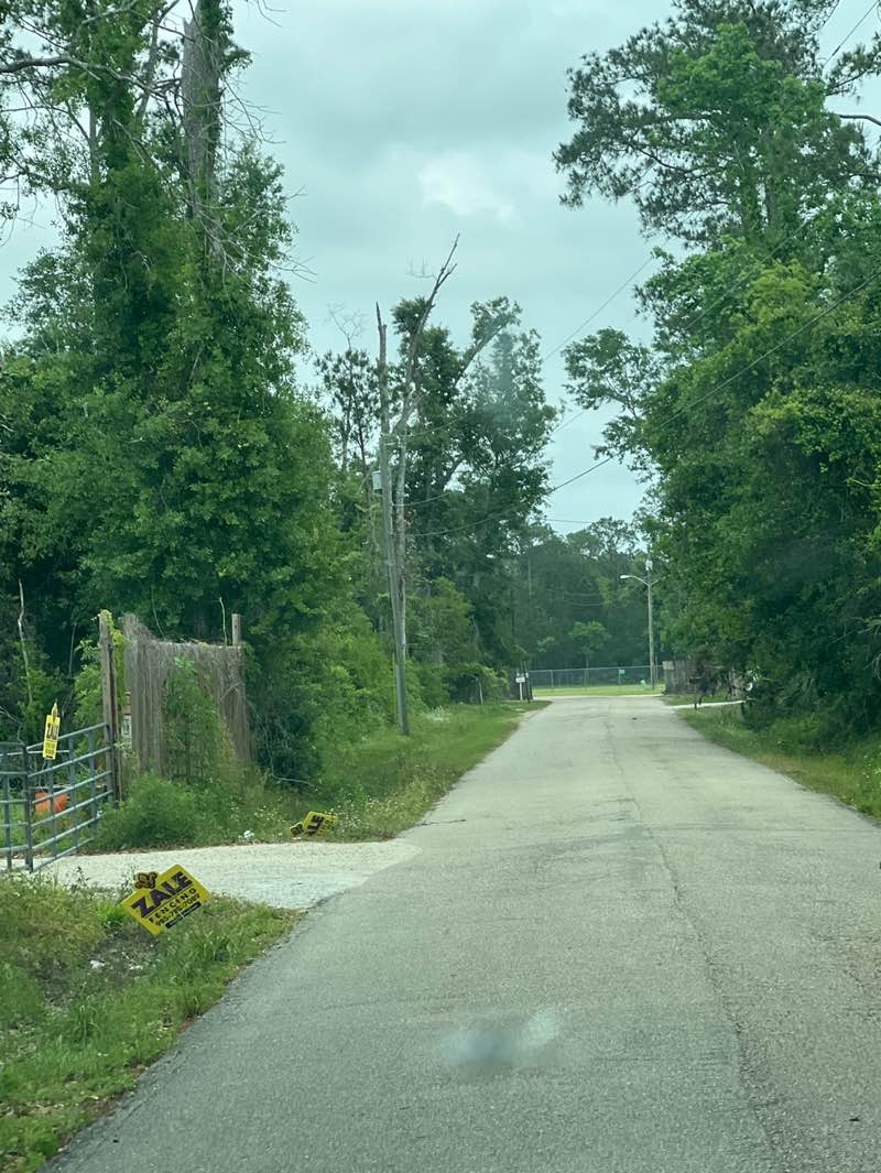 walking near me in Wimbleton Park in spring