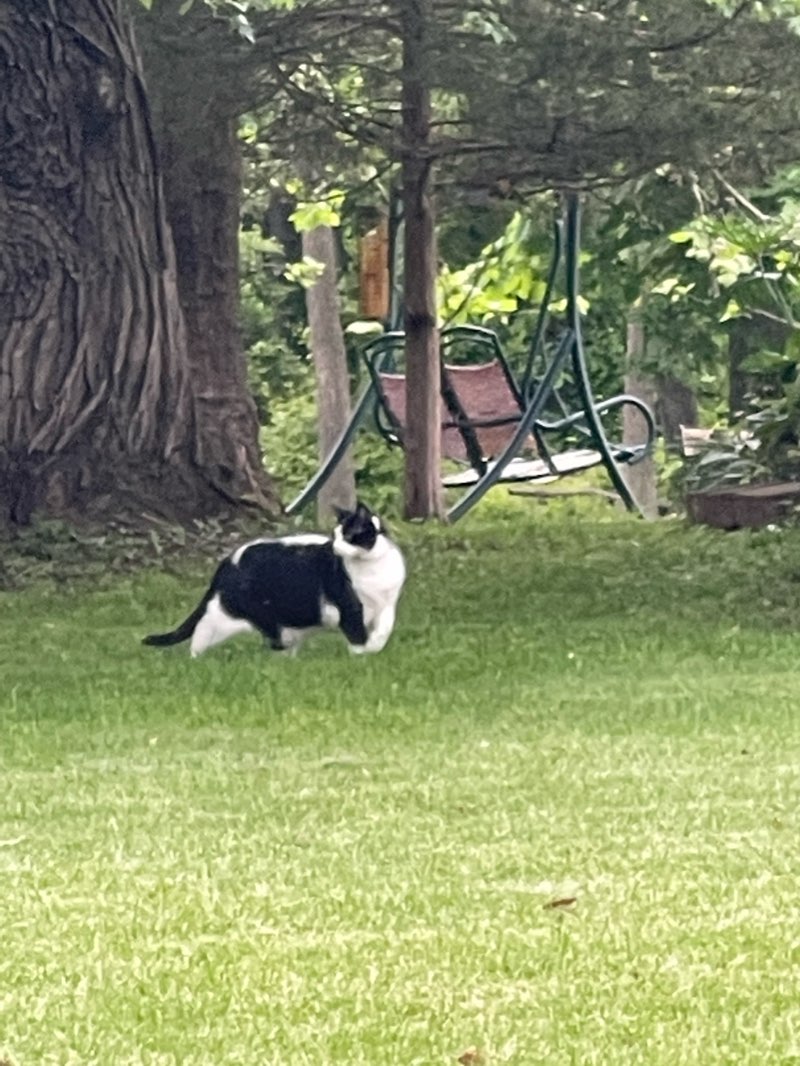 walking near me in Wynnwood Park in winter