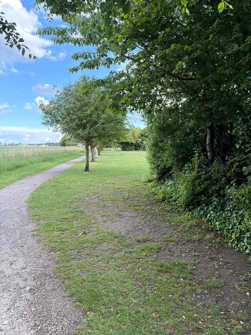walking near me in Weston Playing Field in summer