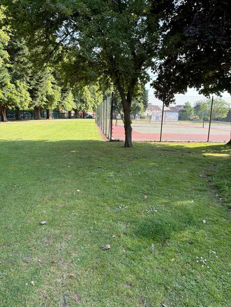 walking near me in Carters Park in summer
