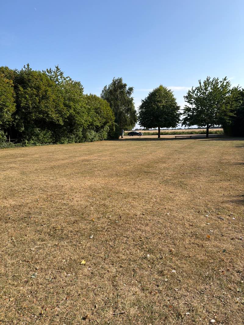 walking near me in Weston Playing Field in summer