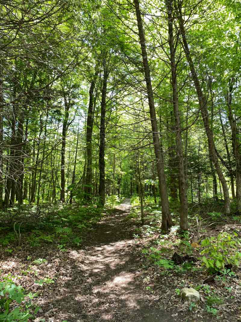 walking near me in Voyageur Provincial Park in winter