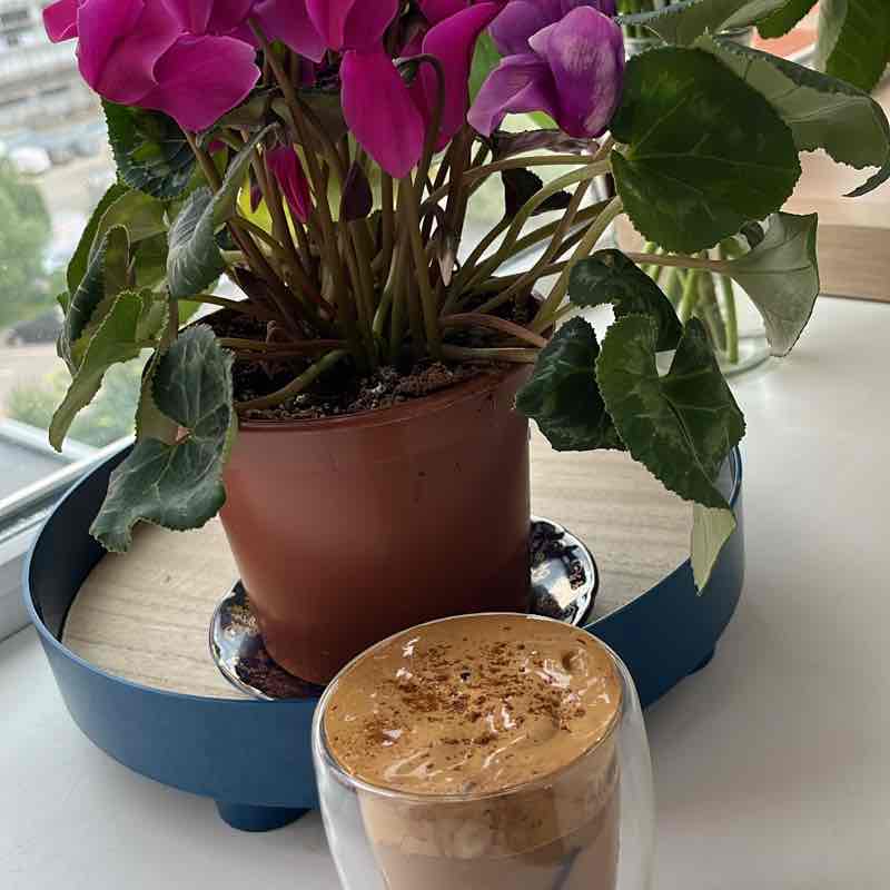 Сирик Аракелян ♌️ 🇦🇲🇷🇺 post 1