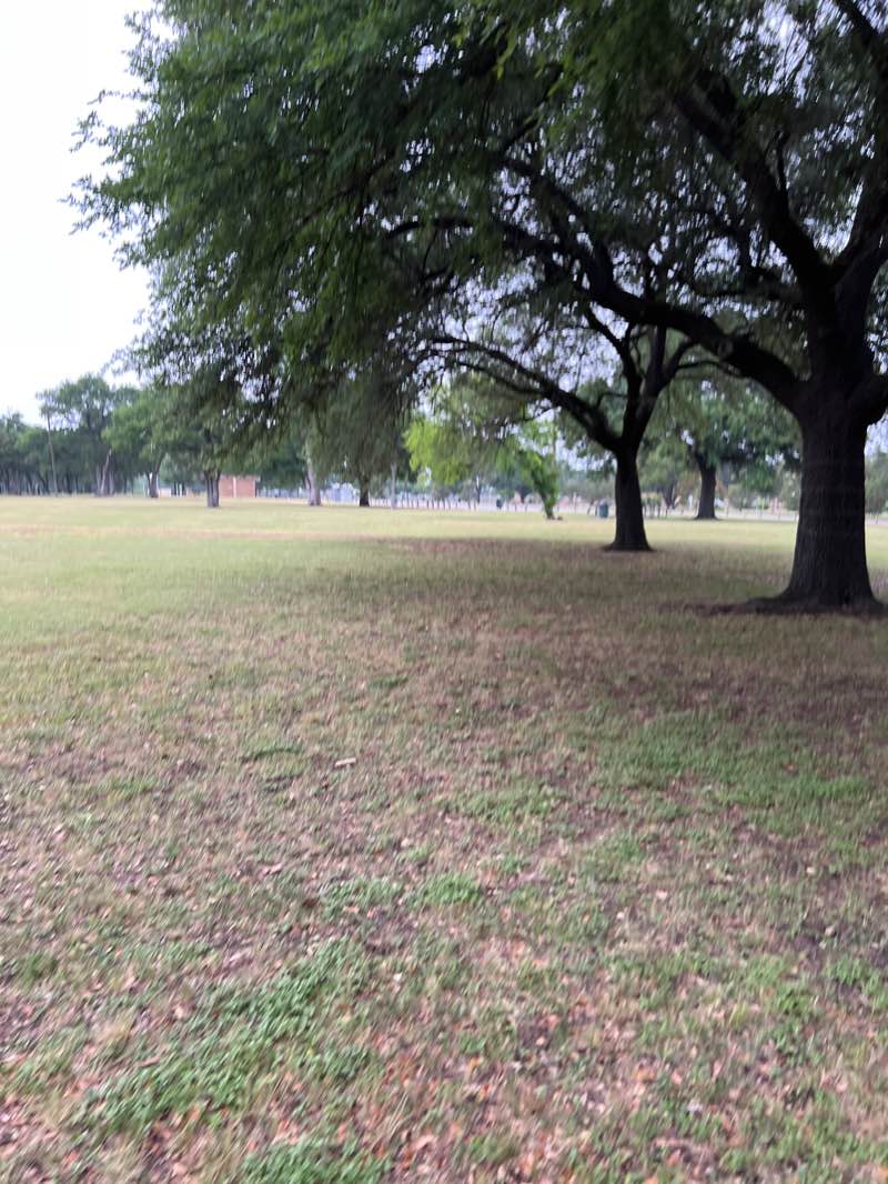 walking near me in Kiest Park in winter