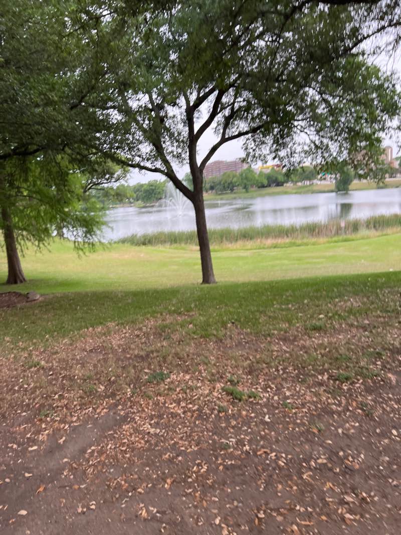 walking near me in Lake Cliff Park in winter