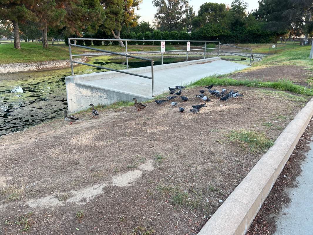 walking near me in Bicknell Park in winter
